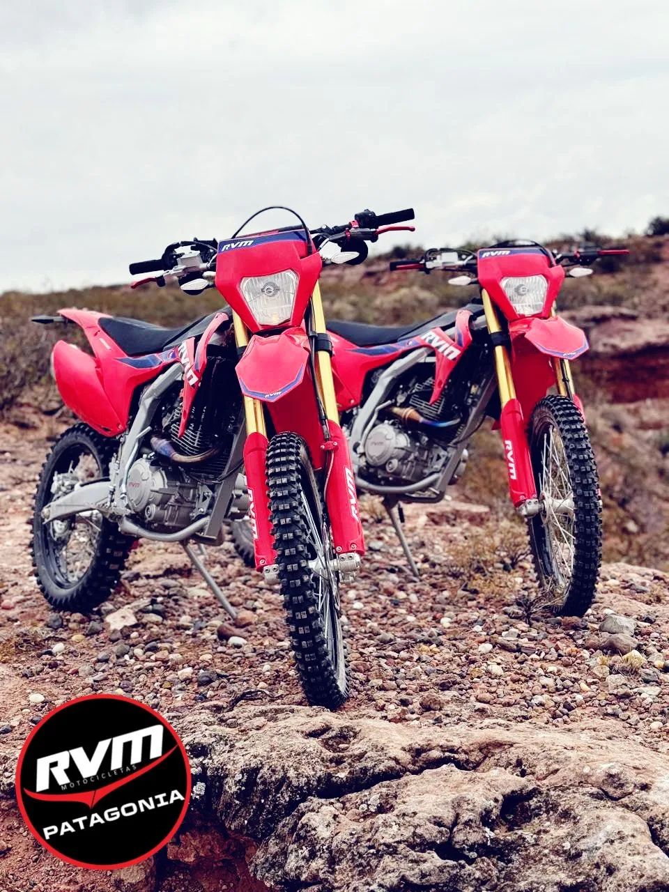 RVM CZ 250 PRO - imagen 3
